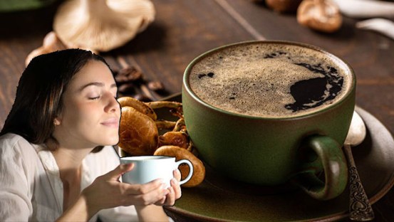 Best Mushroom Coffees To Buy In 2023