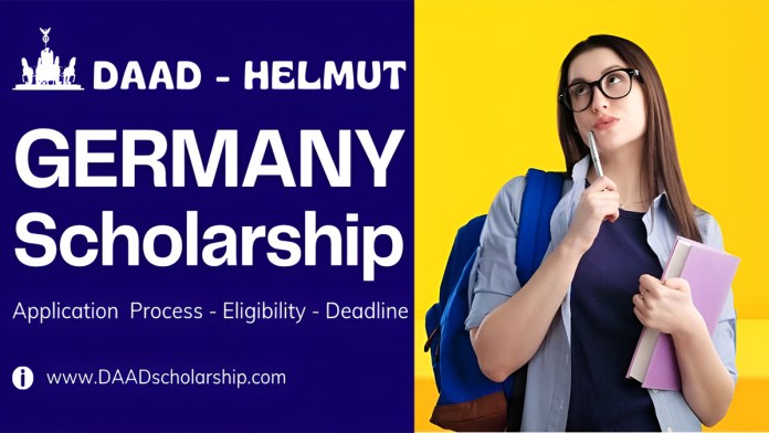 DAAD Helmut Schmidt Scholarship: How to Apply