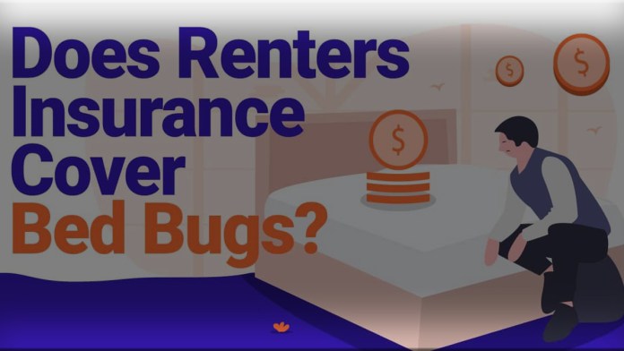 Does Renters Insurance Cover Bed Bugs?