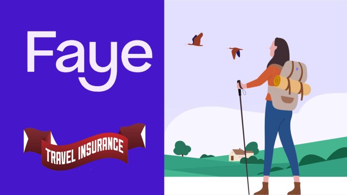 Faye Travel Insurance: What It Covers and Costs