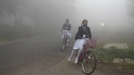 Schools closed: Jharkhand government, too, ordered holidays in the state due to a cold-wave like situation.