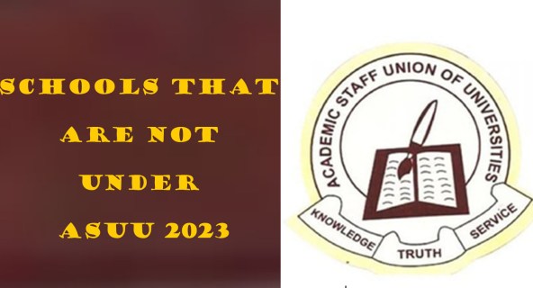 Schools That Are Not Under ASUU 2023