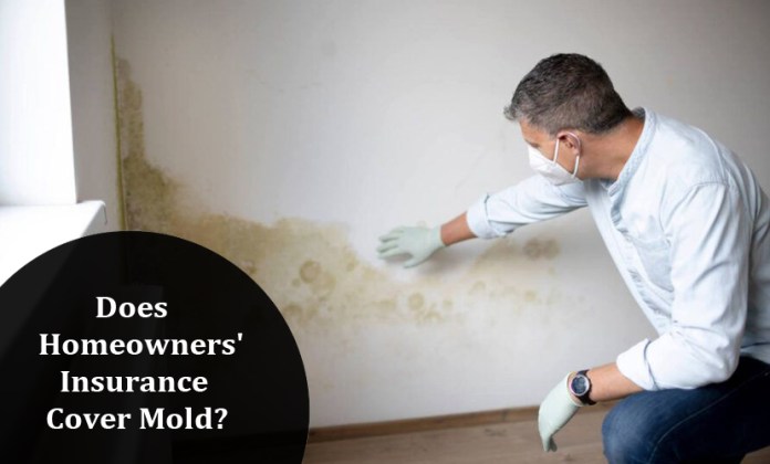 Does Homeowners' Insurance Cover Mold?