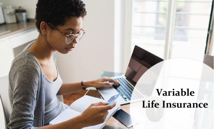 Variable Life Insurance - What It Is & How It Works