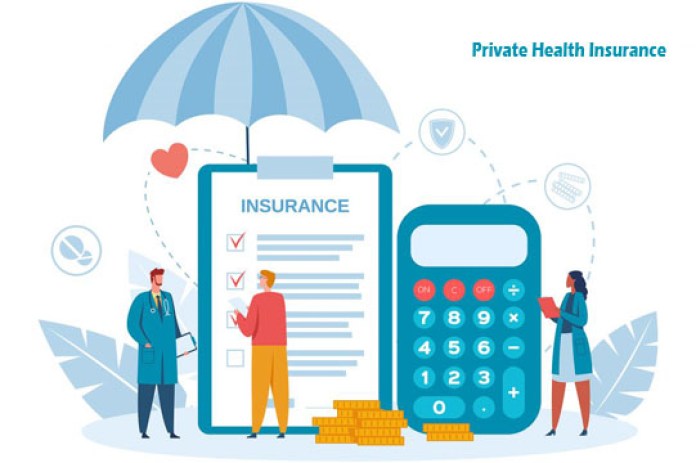 Private Health Insurance - Overview of Private Health Insurance