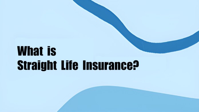 What is Straight Life Insurance Policy?