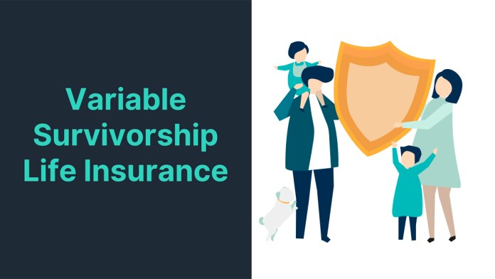 What is Variable Survivorship Life Insurance?